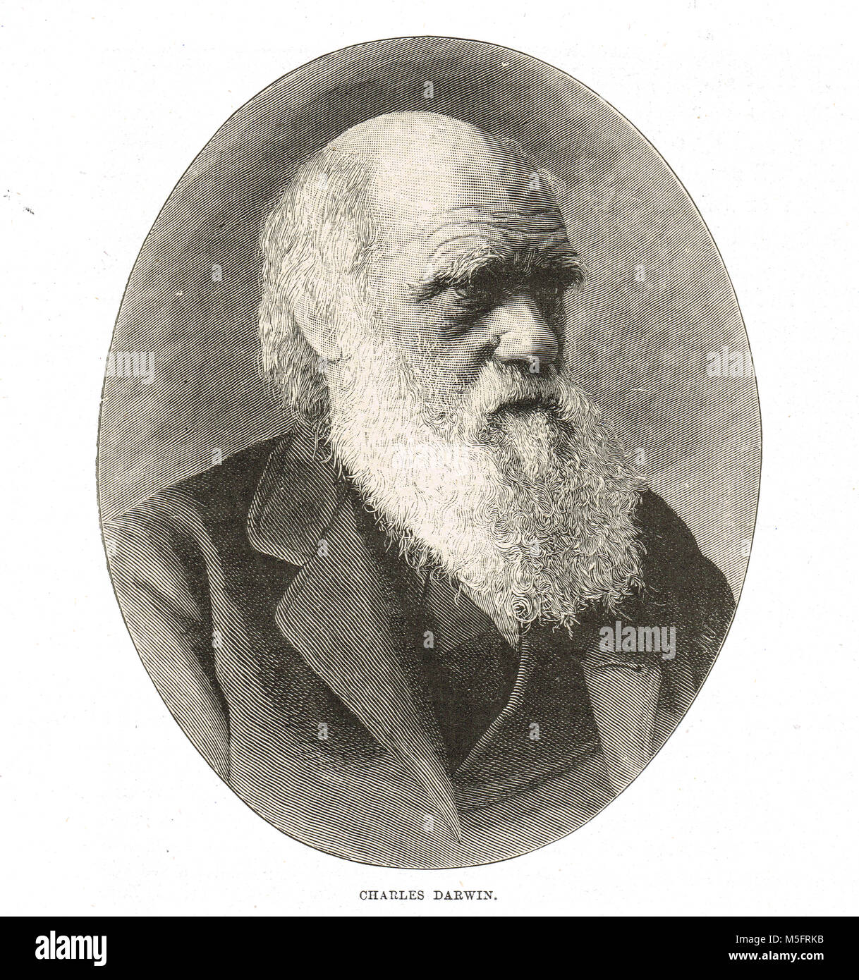 Charles Darwin, évolutionniste, 1809-1882 Banque D'Images
