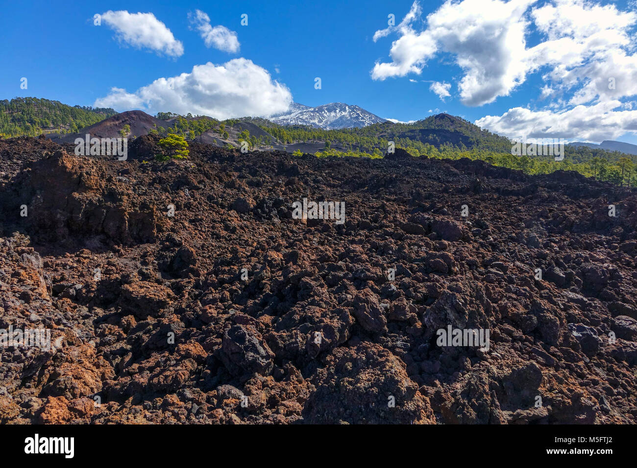 Les coulées volcaniques et les forêts de pins sur El tiede, Teneriffe montagne Banque D'Images