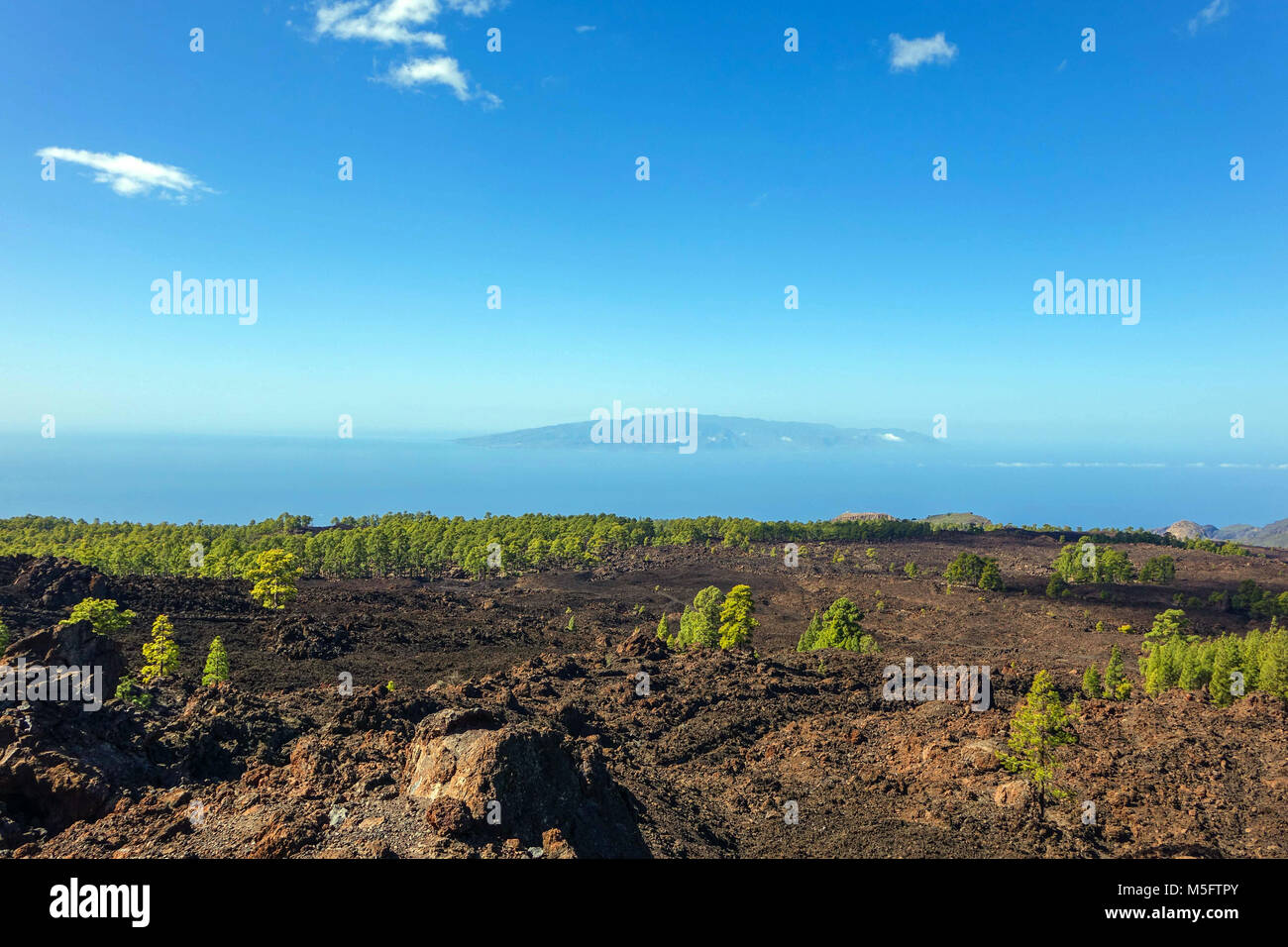 Les coulées volcaniques et les forêts de pins sur El tiede, Teneriffe montagne Banque D'Images