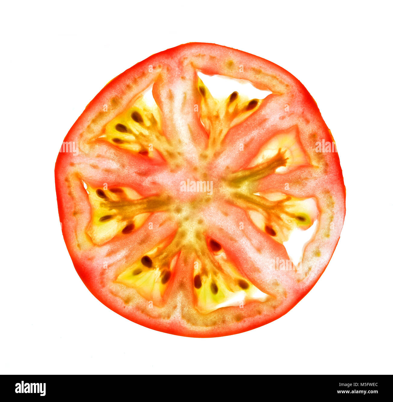 Isoler la section mince Tomate Tomate, isoler, une mince tranche de tomate image photo gros plan en coupe mince isoler sur lumière blanche b Banque D'Images
