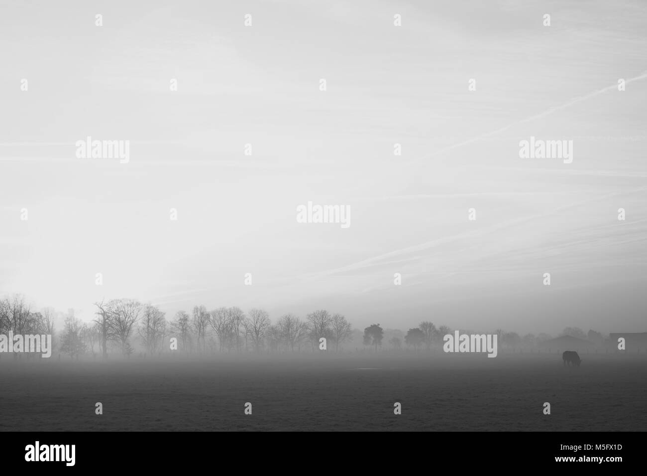 Image en noir et blanc d'un seul arbre sur un champ avec un ciel d'orage sur un paysage rural landscape Banque D'Images