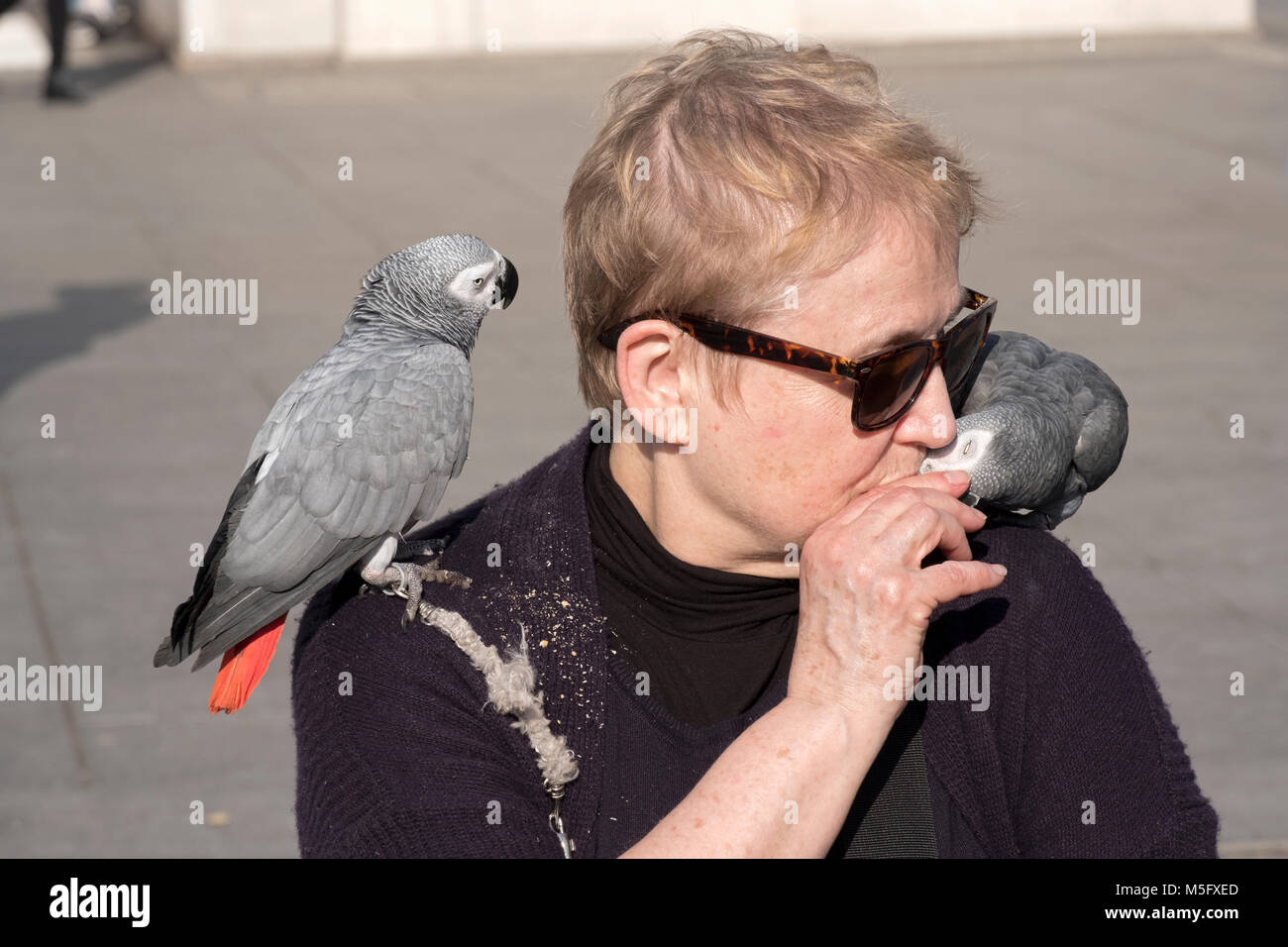 Une femme à l'extérieur dans un parc avec ses deux animaux de perroquet gris africain. Dans un parc de Manhattan, à New York. Banque D'Images