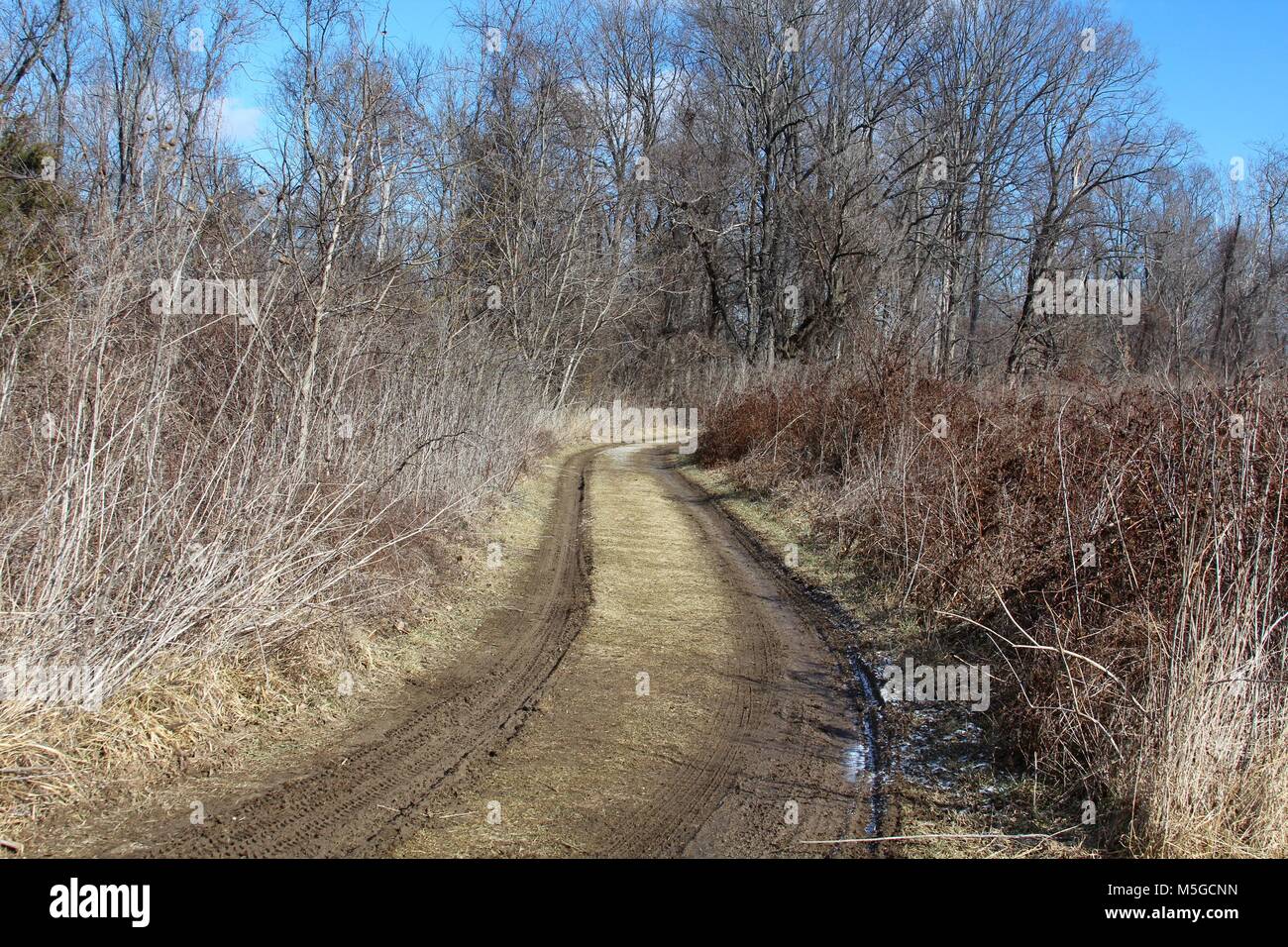 Faire des randonnées de la forêt sur certains sentiers sur deux jours différents. Banque D'Images