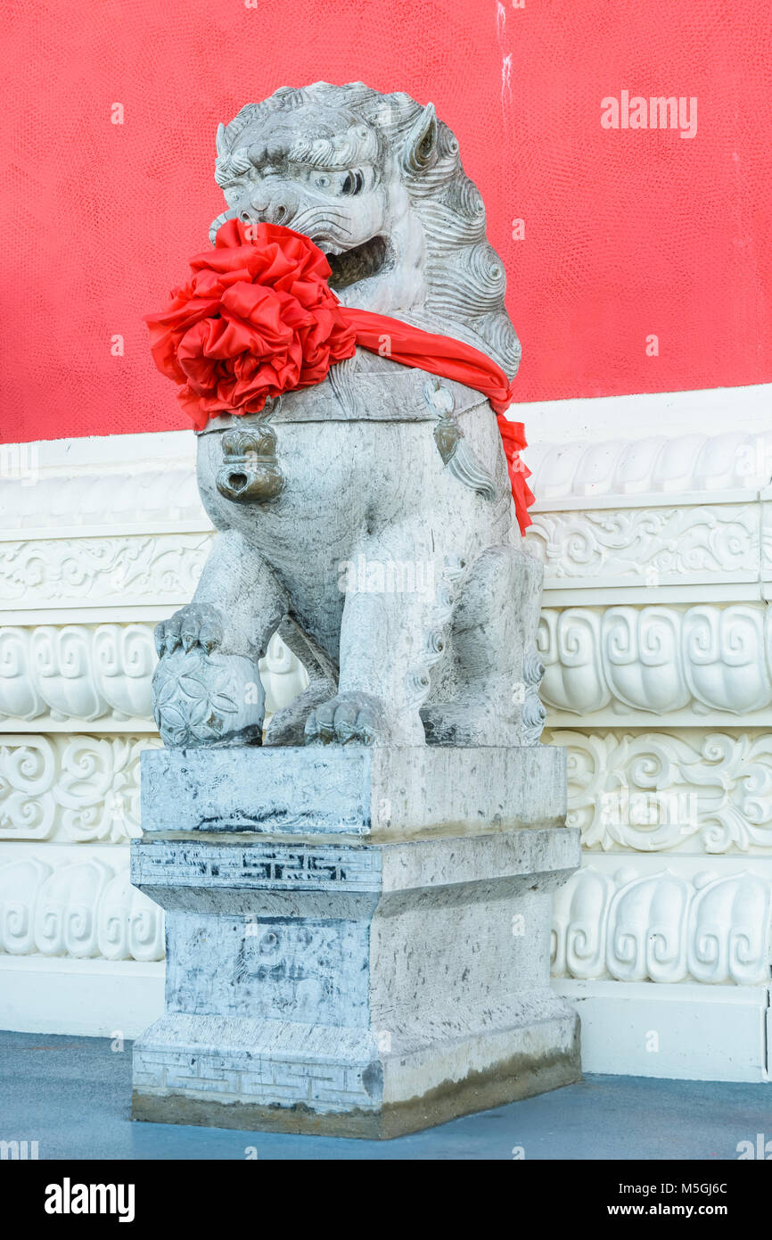 Statue en pierre traditionnelle d'un tuteur chinois lion (mâle), vêtu d'un gros noeud rouge autour du cou pour célébrer le nouvel an chinois, posté à l'avant o Banque D'Images