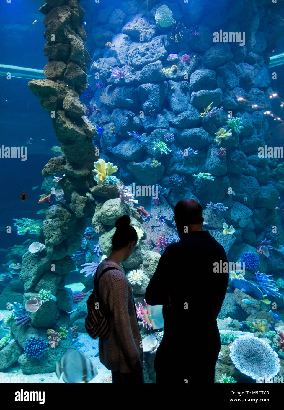 Poema del Mar, nouvel aquarium à Las Palmas, Gran Canaria, Îles Canaries, Espagne Banque D'Images