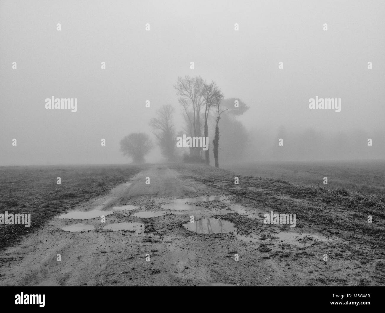 Paysage brumeux Banque D'Images