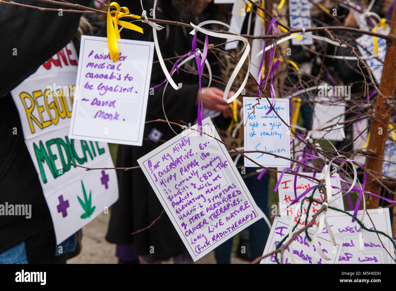 Londres, Royaume-Uni. 23 Février, 2018. Les messages, ou 'Canna-Wishes', attaché à un arbre des désirs en face de la Chambre du Parlement au cours d'un rassemblement organisé par des partisans de l'Alliance les patients à l'occasion de la deuxième lecture au Parlement de la légalisation du cannabis à des fins médicinales (Loi 2017-19), également connu sous le nom de l'Elizabeth Brice Loi après un multiple sclerosis patient décédé en 2011. Banque D'Images