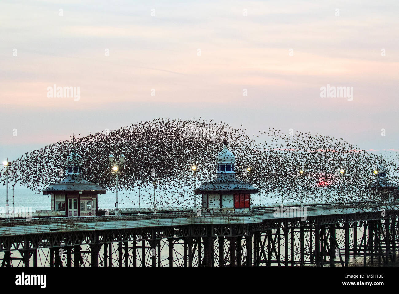 Blackpool, Lancashire. Météo britannique. 23 Février, 2018. D'un froid mordant les vents d'est sur la jetée du Nord comme les étourneaux se rassemblent à Blackpool comme crépuscule approches. Des dizaines et des dizaines de milliers de ces oiseaux migrateurs se rassemblent avant de s'envoler pour leur perchoir dans l'abri relatif de la structure. Le début d'une vague de froid, a gonflé le nombre de ces oiseaux, qui forment d'énormes troupeaux, à l'abri et de repos dans la structure en fer. /AlamyLiveNews MediaWorldImages : crédit. Banque D'Images