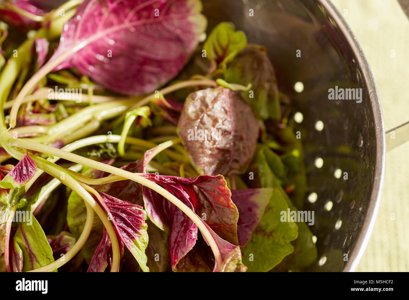 Amarante rouge, un type d'épinards populaire dans la cuisine asiatique Banque D'Images