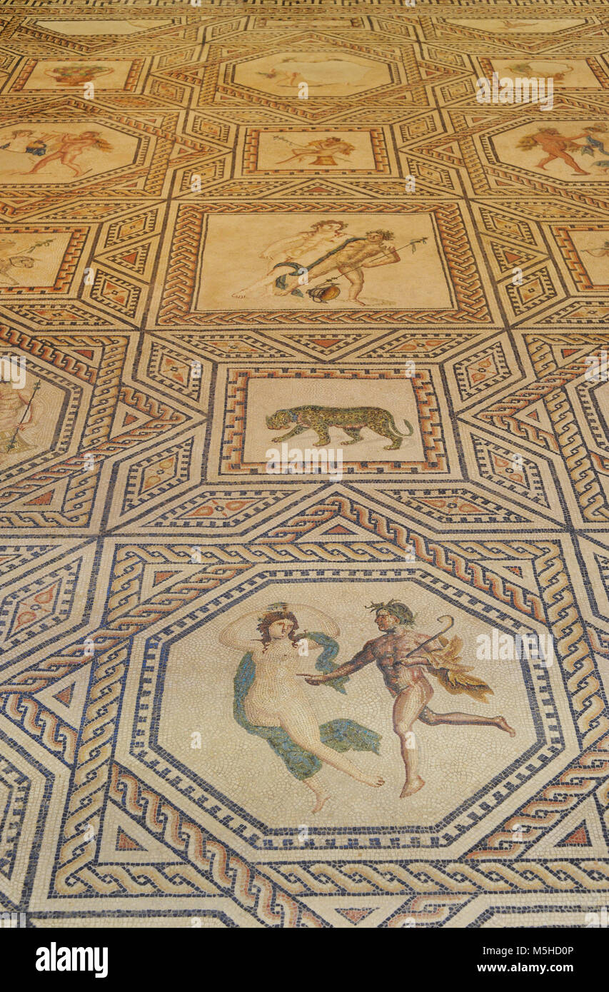 La mosaïque de Dionysos. Détail. 3e siècle. Roman. Il décoré le plancher de la salle de banquet, sur le côté ouest du péristyle d'une grande maison. Les images de Dionysos avec Satyres et ménades mettez en surbrillance le caractère festif de la salle. Trouvés à Cologne, Allemagne. Musée romain-germanique. Cologne. L'Allemagne. Banque D'Images