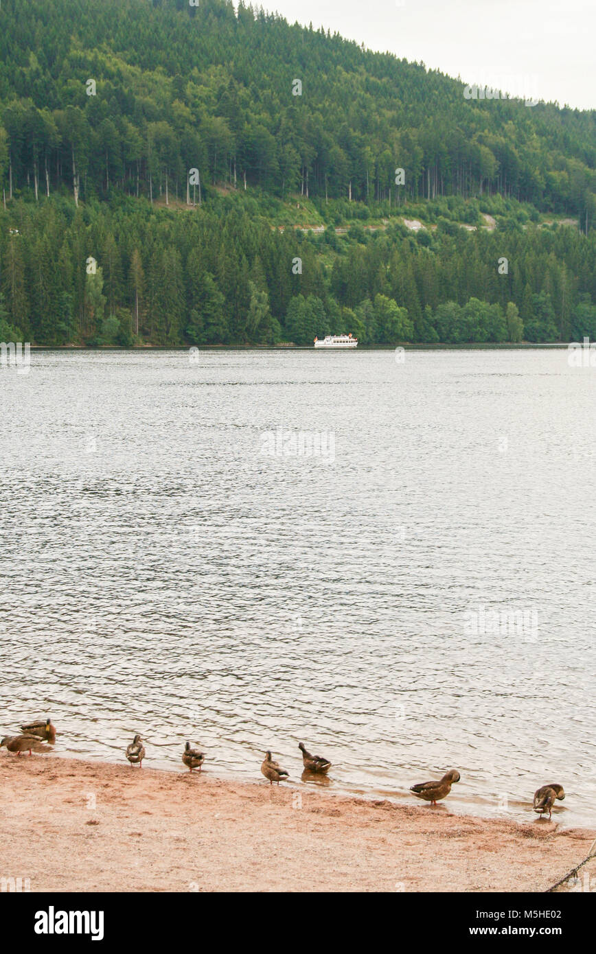 Lac de Titisee en forêt noire de Baden Wuttemberg, Allemagne Banque D'Images