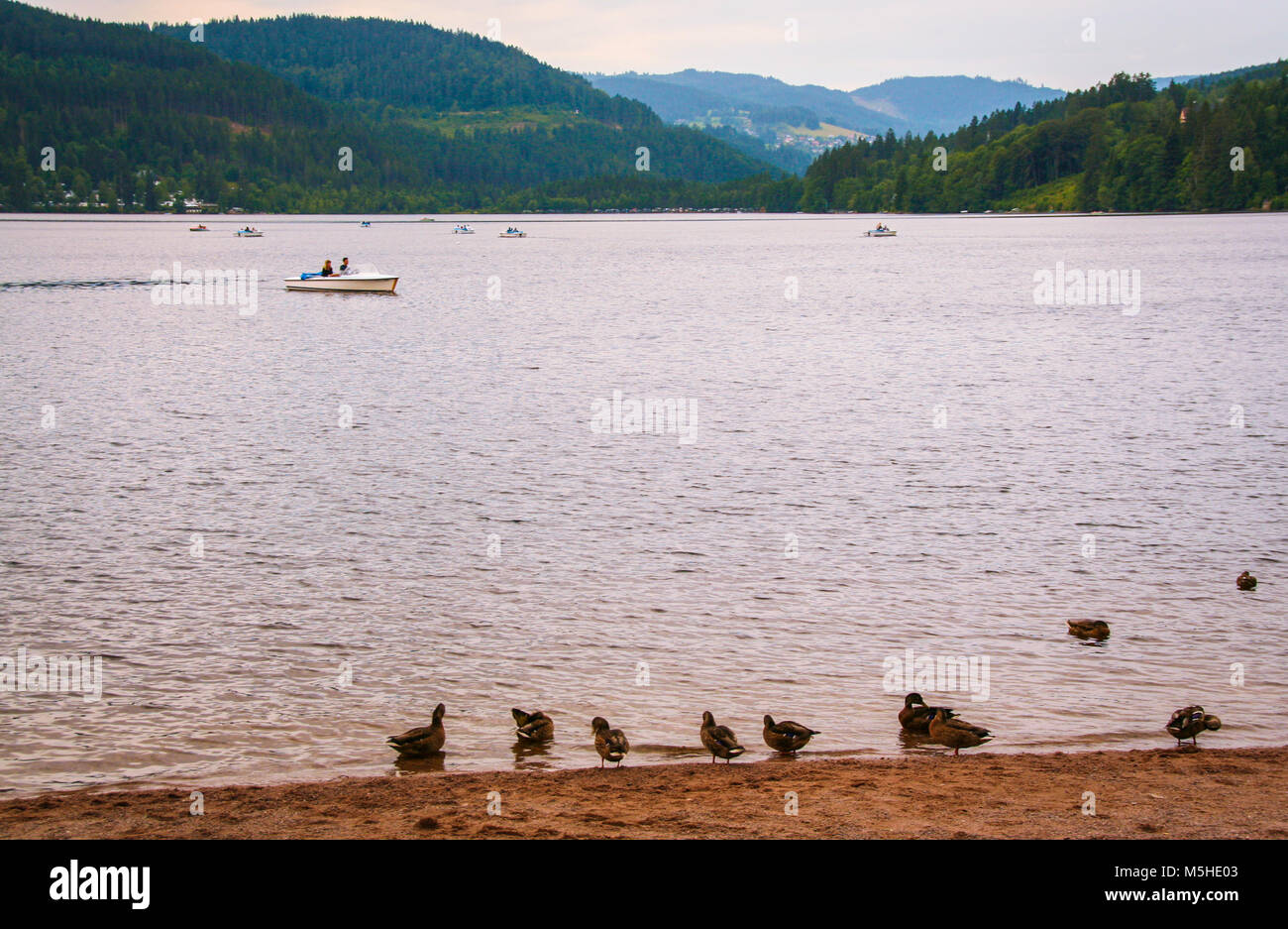 Lac de Titisee en forêt noire de Baden Wuttemberg, Allemagne Banque D'Images