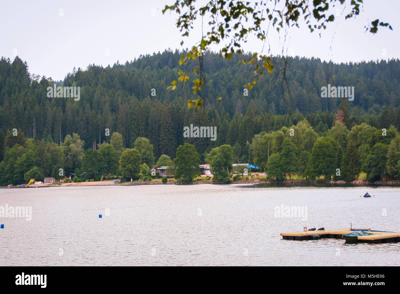Lac de Titisee en forêt noire de Baden Wuttemberg, Allemagne Banque D'Images