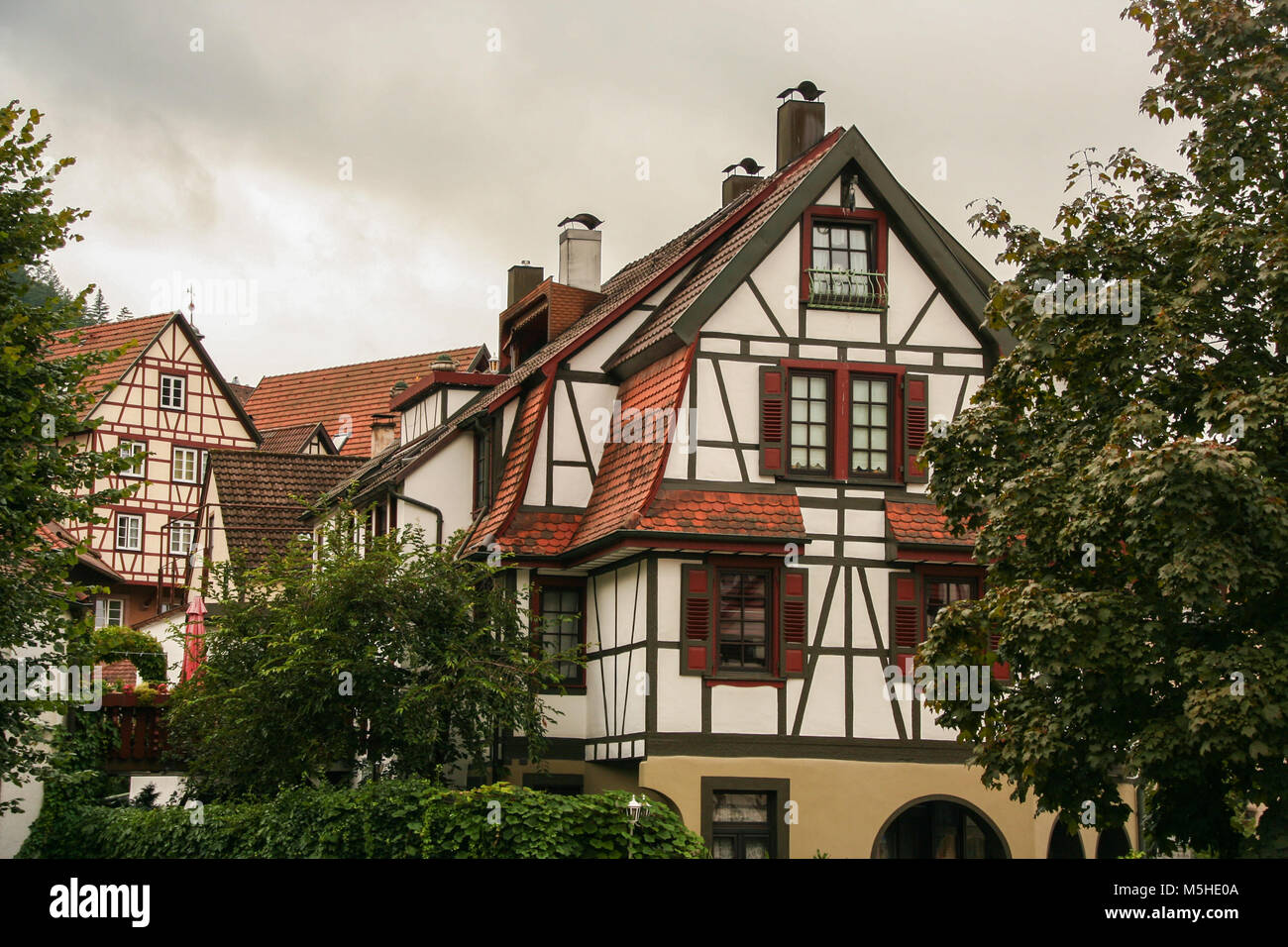Maisons typiques de la Forêt-Noire, Titisee, Allemagne Banque D'Images