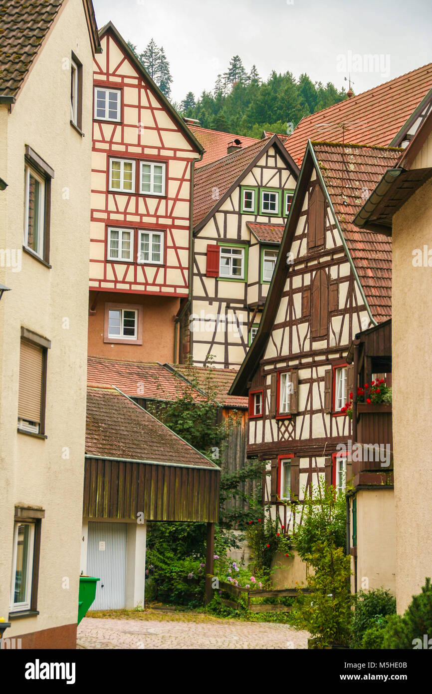 Maisons typiques de la Forêt-Noire, Titisee, Allemagne Banque D'Images