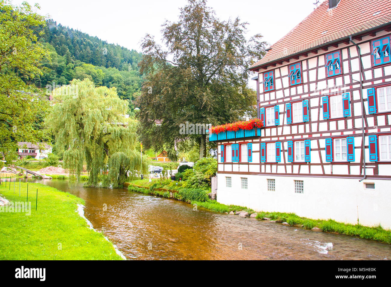 La pittoresque ville de Schiltach en Forêt-Noire, Baden WUttemberg, Allemagne Banque D'Images