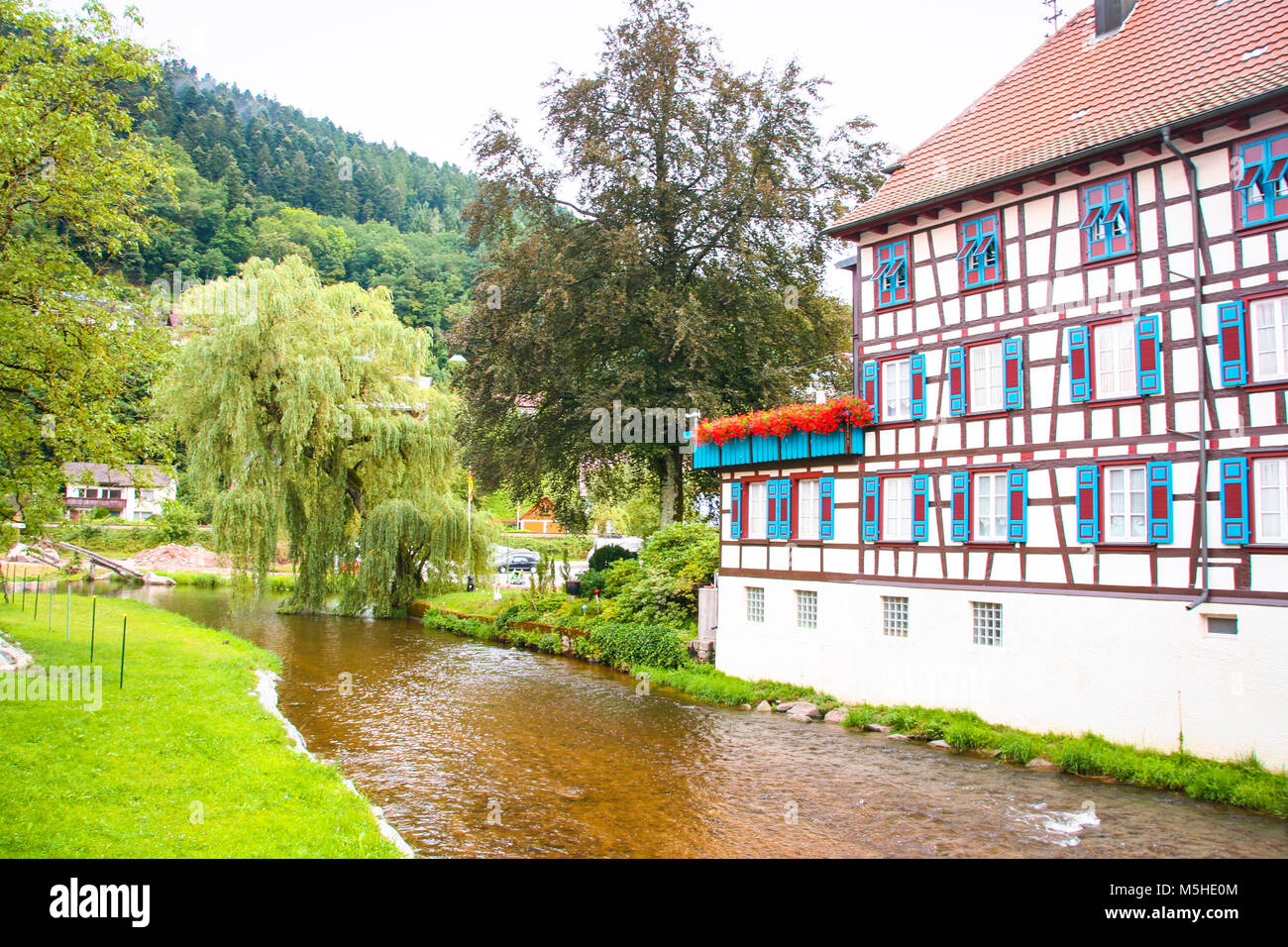 La pittoresque ville de Schiltach en Forêt-Noire, Baden WUttemberg, Allemagne Banque D'Images
