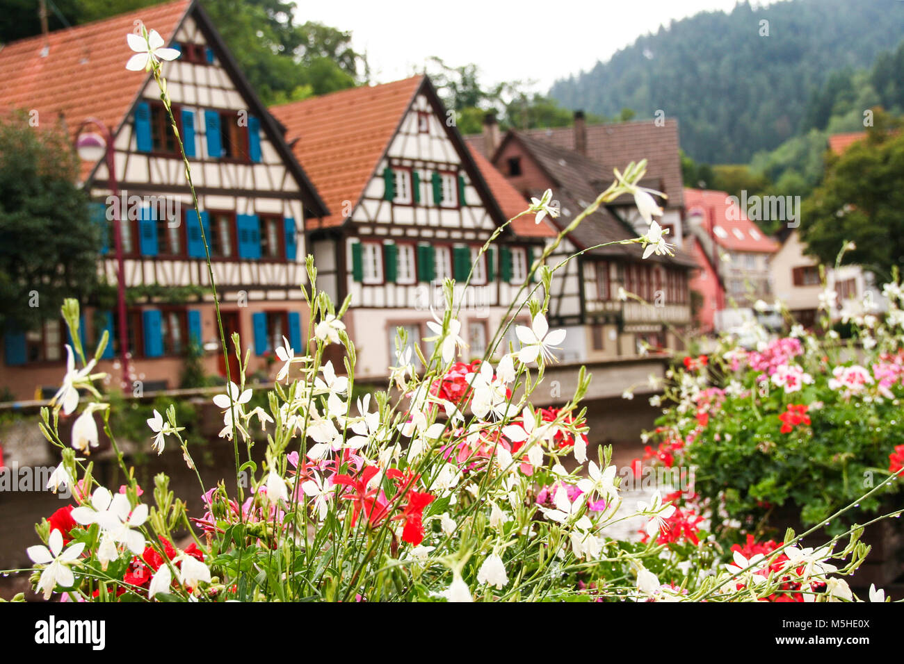 La pittoresque ville de Schiltach en Forêt-Noire, Baden WUttemberg, Allemagne Banque D'Images