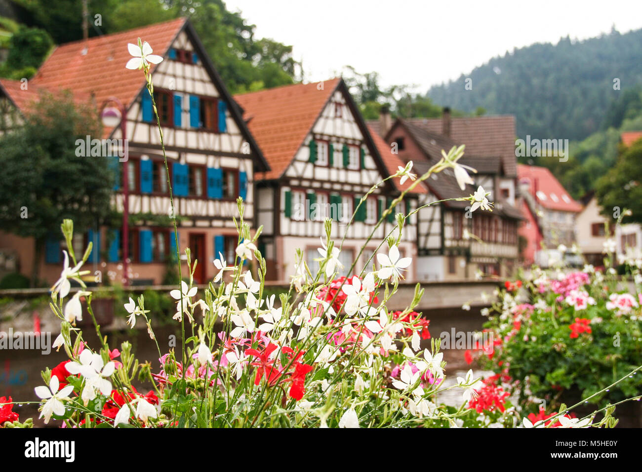 La pittoresque ville de Schiltach en Forêt-Noire, Baden WUttemberg, Allemagne Banque D'Images