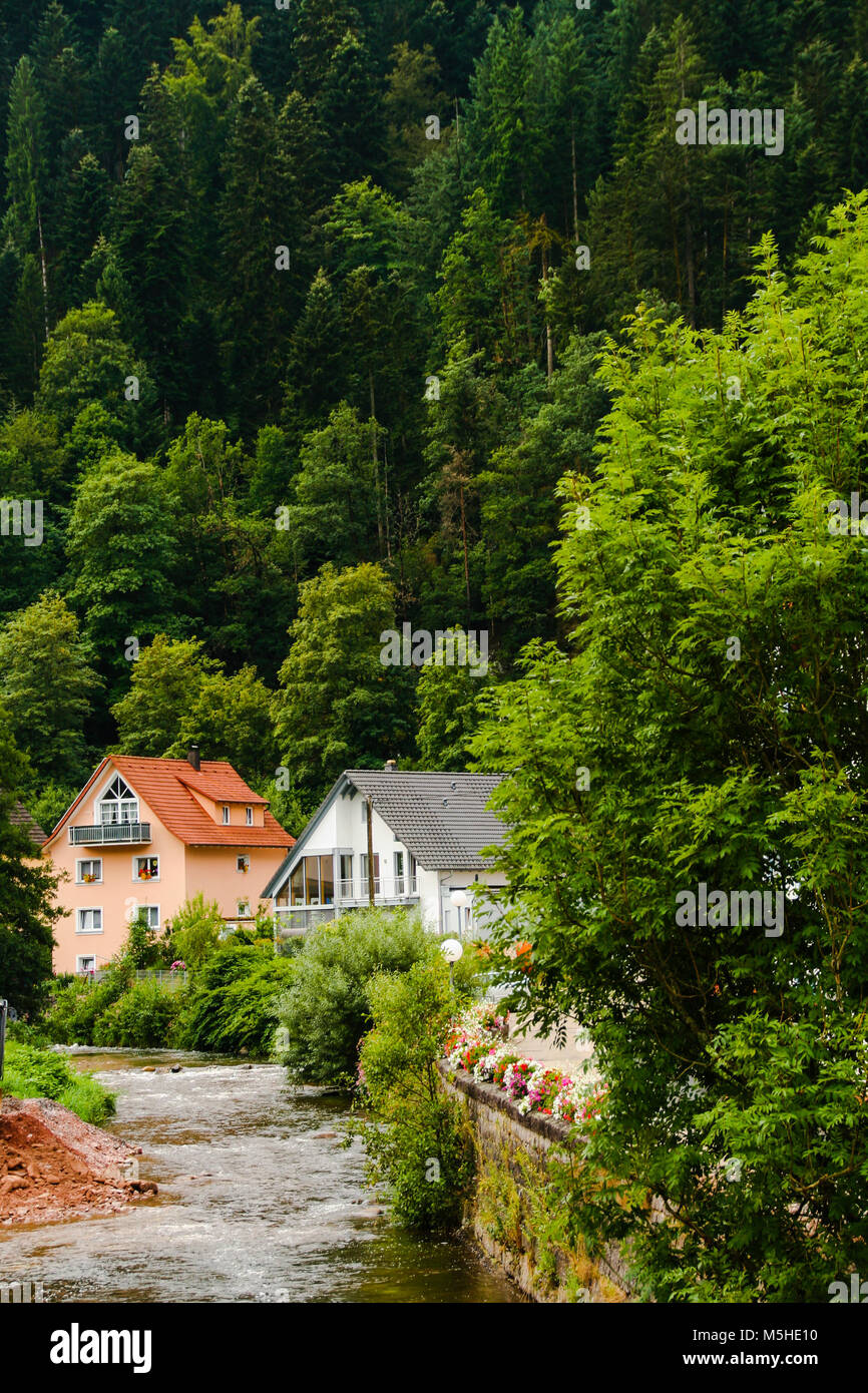 La pittoresque ville de Schiltach en Forêt-Noire, Baden WUttemberg, Allemagne Banque D'Images