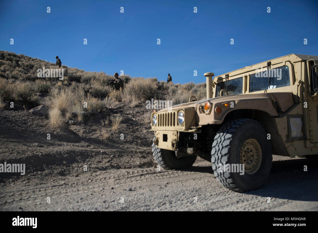 Régiment de logistique de combat des marines avec 25, 2e Groupe logistique maritime, recherche des engins explosifs lors de la formation au convoi tactique montagneux Lucky Boy Pass, Marine Corps Mountain Warfare Training Center, Bridgeport, Californie, le 9 février 2018. La formation offerte en reconnaissance de l'expérience de marine d'EEI, la navigation en terrain montagneux, les perceuses et les contact ennemi victime de traitement et d'évacuation. La formation préparera les Marines de la force conjointe de l'exercice formation Arctic Edge dans le nord de l'Alaska, qui exposera des Marines de la péninsule des conditions météorologiques extrêmes. (U.S. Marine Corps Banque D'Images
