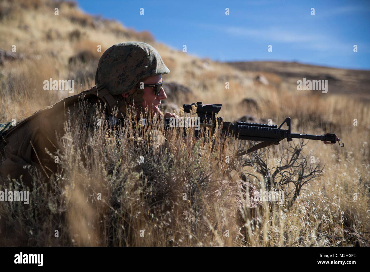Le Caporal Andrew Bolek, un opérateur logistique de combat avec des communications 25 Régiment, 2e Groupe Logistique Maritime, détient une garantie lors de la formation au convoi tactique montagneux Lucky Boy Pass, Marine Corps Mountain Warfare Training Center, Bridgeport, Californie, le 9 février 2018. La formation dispensée dans l'expérience Marines dispositif explosif de la reconnaissance, la navigation en terrain montagneux, l'ennemi, et risques divers exercices de contact et de traitement de l'évacuation. La formation préparera les Marines de la force conjointe de l'exercice formation Arctic Edge dans le nord de l'Alaska, qui exposera les Marines de la péninsule. Banque D'Images