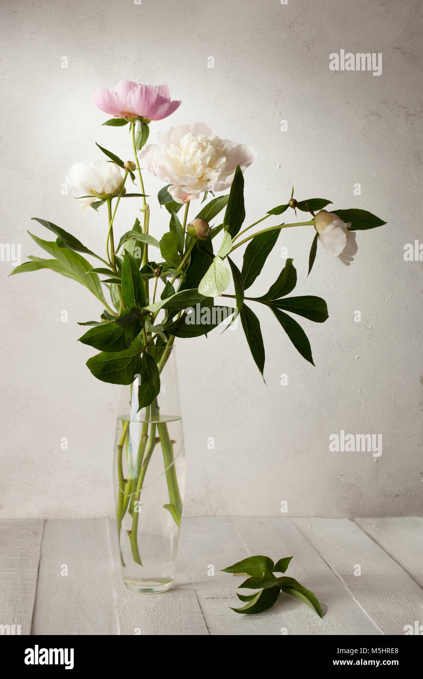 Un bouquet de pivoines pâle dans un vase en verre sur la table en bois. Banque D'Images