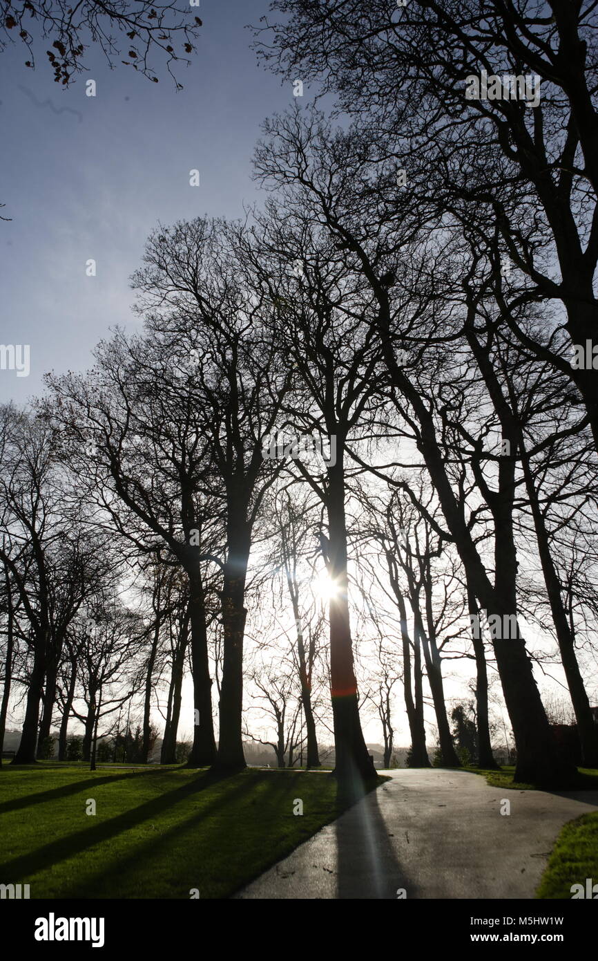 Lisburn, Irlande du Nord. Lisburn (/'l ?z.b ?rn/ ou /'l ?s.b ?rn/, ce qui signifie 'fort du flux', probablement de l'Irlandais lios, qui signifie 'fort', et brûler l'Écossais, qui signifie 'stream') est une ville en Irlande du Nord. Il est à 8 km (13 km) au sud-ouest du centre-ville de Belfast, sur la rivière Lagan, qui forme la frontière entre le comté d'Antrim et le comté de Down. Lisburn est une partie de la zone métropolitaine de Belfast. Il avait une population de plus de 71 469 personnes dans le recensement de 2011. Anciennement un arrondissement, Lisburn a été accordé le statut de ville en 2002, dans le cadre de la reine Elizabeth II, festivités du Jubilé. C'est la troisième plus grande ville Banque D'Images