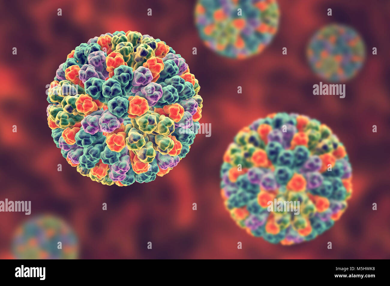 Les rotavirus, particules illustration de l'ordinateur. Cette particule virale se compose d'un ARN (acide ribonucléique) noyau entouré d'une triple capside en couches. Les rotavirus sont probablement le plus commun des virus pour infecter les humains et les animaux. Ils sont associés à la gastro-entérite et la diarrhée - généralement d'infecter les intestins des enfants âgés de 6 mois à 3 ans. Les virus se propagent dans les fèces. Banque D'Images