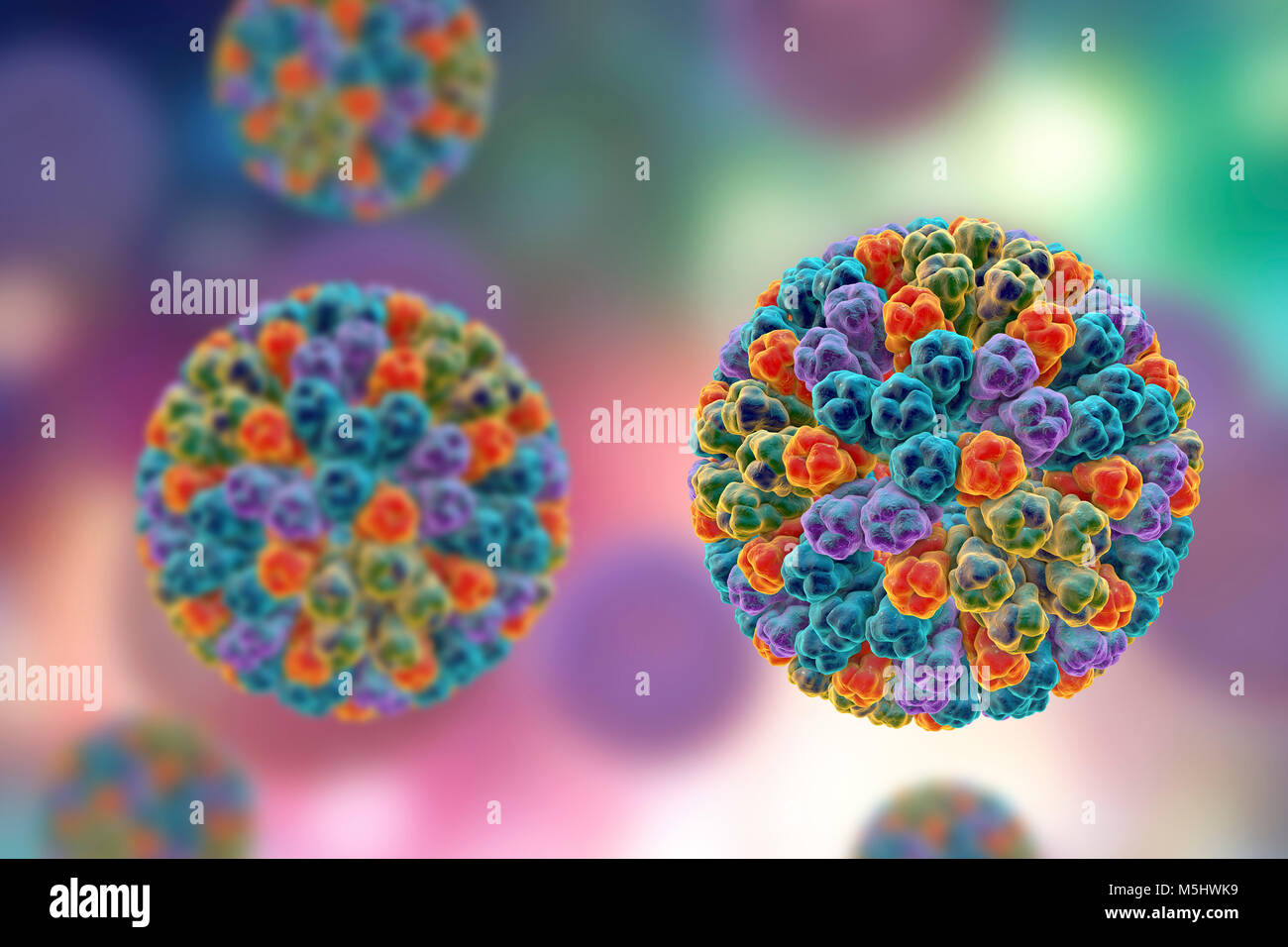 Les rotavirus, particules illustration de l'ordinateur. Cette particule virale se compose d'un ARN (acide ribonucléique) noyau entouré d'une triple capside en couches. Les rotavirus sont probablement le plus commun des virus pour infecter les humains et les animaux. Ils sont associés à la gastro-entérite et la diarrhée - généralement d'infecter les intestins des enfants âgés de 6 mois à 3 ans. Les virus se propagent dans les fèces. Banque D'Images