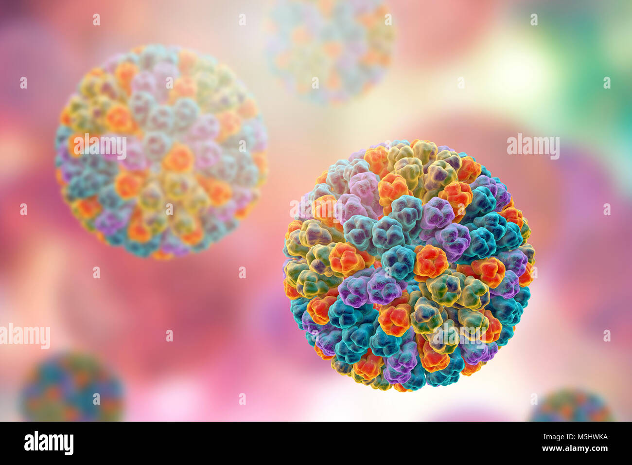 Les rotavirus, particules illustration de l'ordinateur. Cette particule virale se compose d'un ARN (acide ribonucléique) noyau entouré d'une triple capside en couches. Les rotavirus sont probablement le plus commun des virus pour infecter les humains et les animaux. Ils sont associés à la gastro-entérite et la diarrhée - généralement d'infecter les intestins des enfants âgés de 6 mois à 3 ans. Les virus se propagent dans les fèces. Banque D'Images
