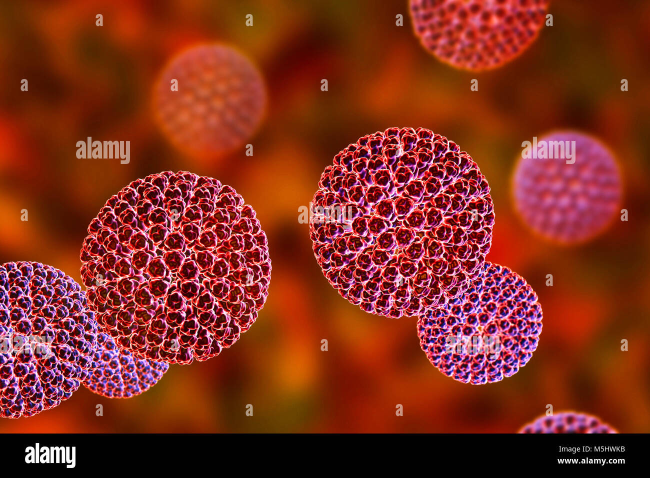 Les rotavirus, particules illustration de l'ordinateur. Cette particule virale se compose d'un ARN (acide ribonucléique) noyau entouré d'une triple capside en couches. Les rotavirus sont probablement le plus commun des virus pour infecter les humains et les animaux. Ils sont associés à la gastro-entérite et la diarrhée - généralement d'infecter les intestins des enfants âgés de 6 mois à 3 ans. Les virus se propagent dans les fèces. Banque D'Images