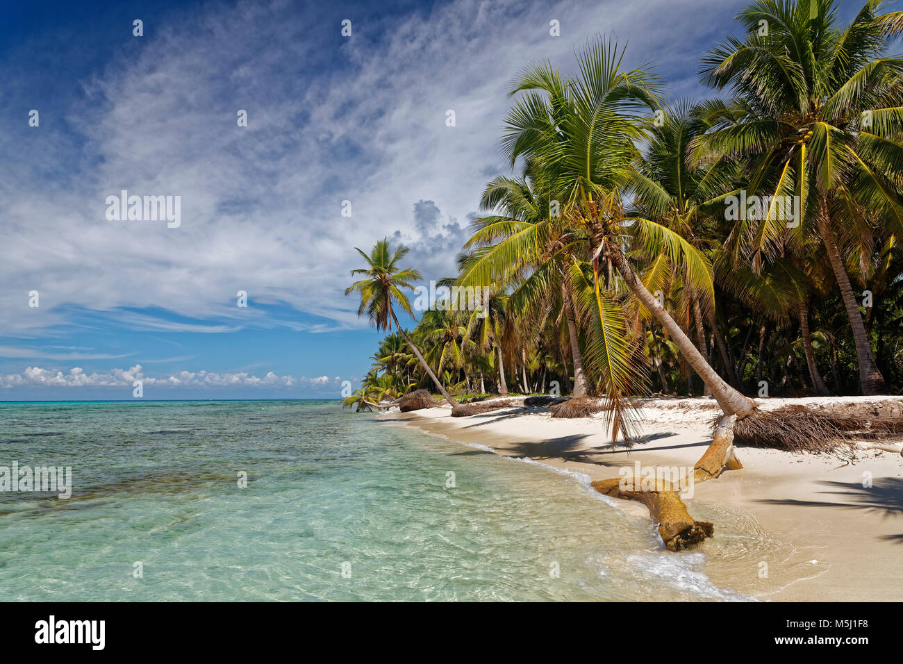 Caraïbes, la République dominicaine, la plage sur l'île des Caraïbes Isla Saona Banque D'Images