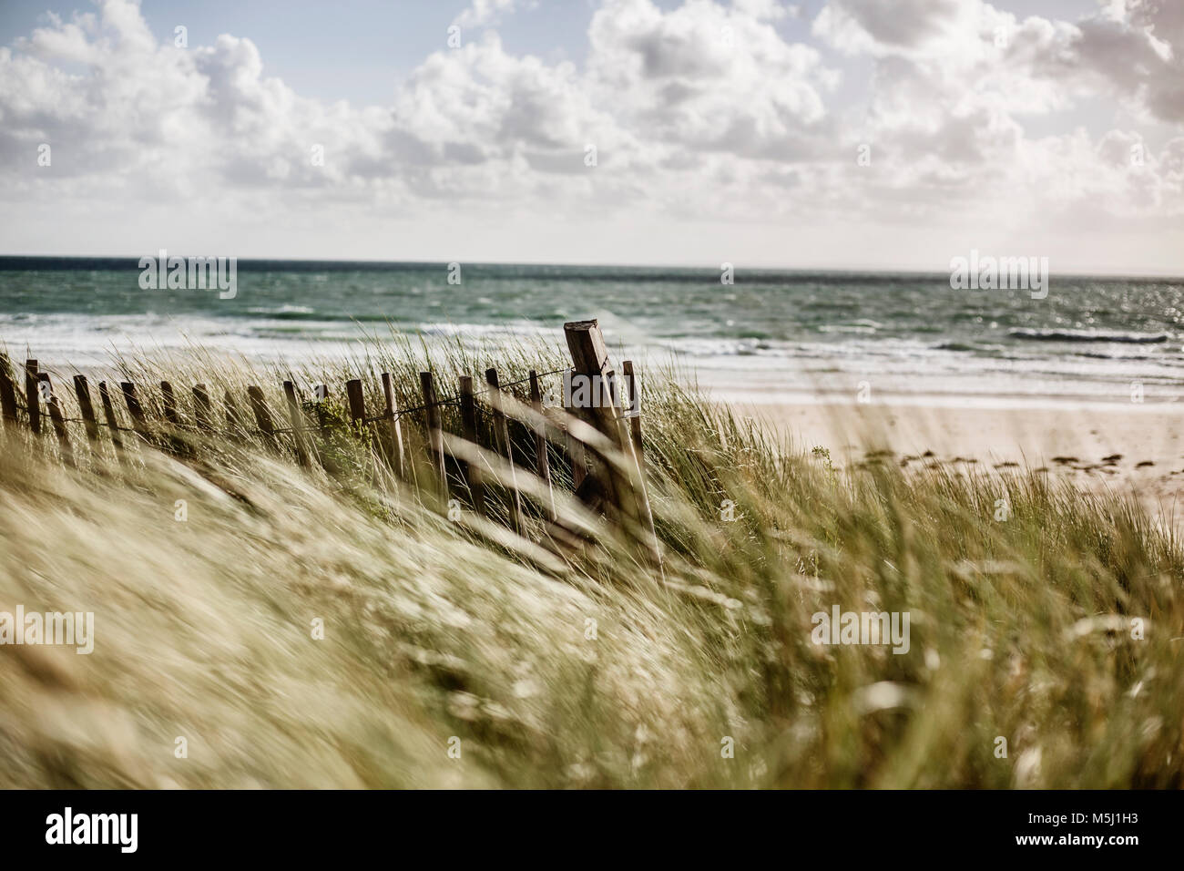 France, Normandie, Cotentin, Portbail, clôture en bois à dune plage Banque D'Images