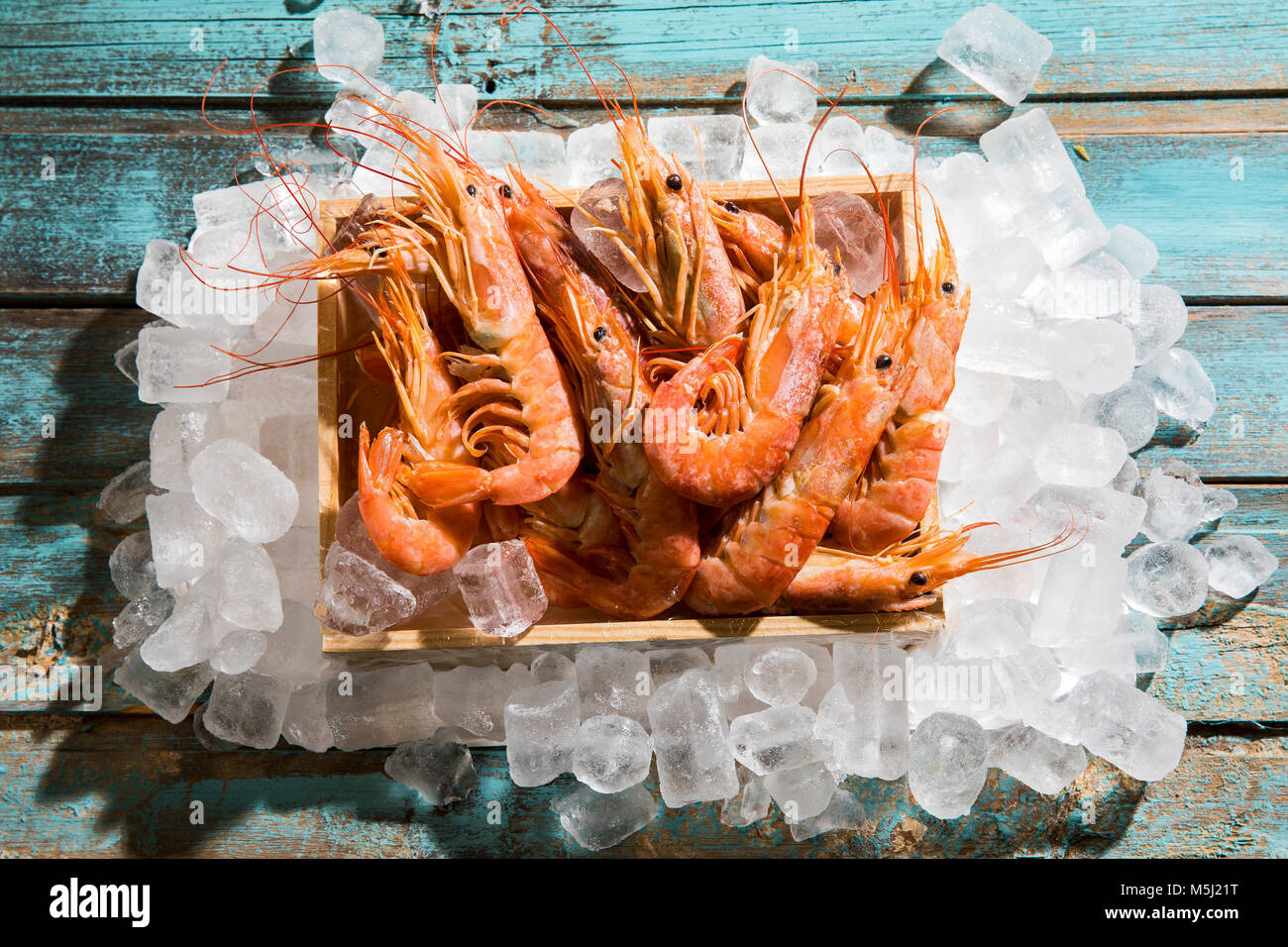 Crevettes rouges d'Argentine sur la glace Banque D'Images