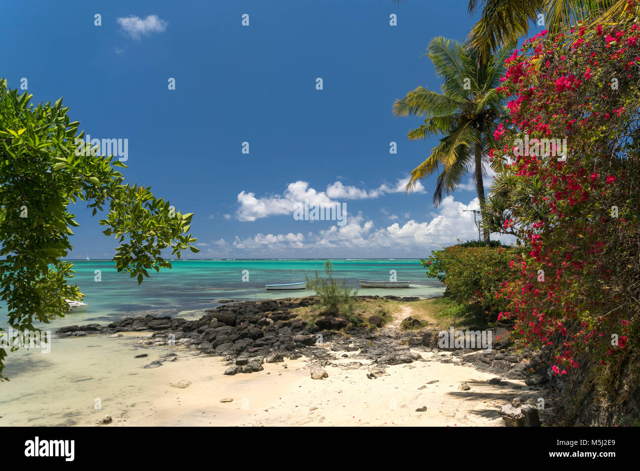 Bougainvillea suis Bain Boeuf plage publique, Cap Malheureux, Rivière