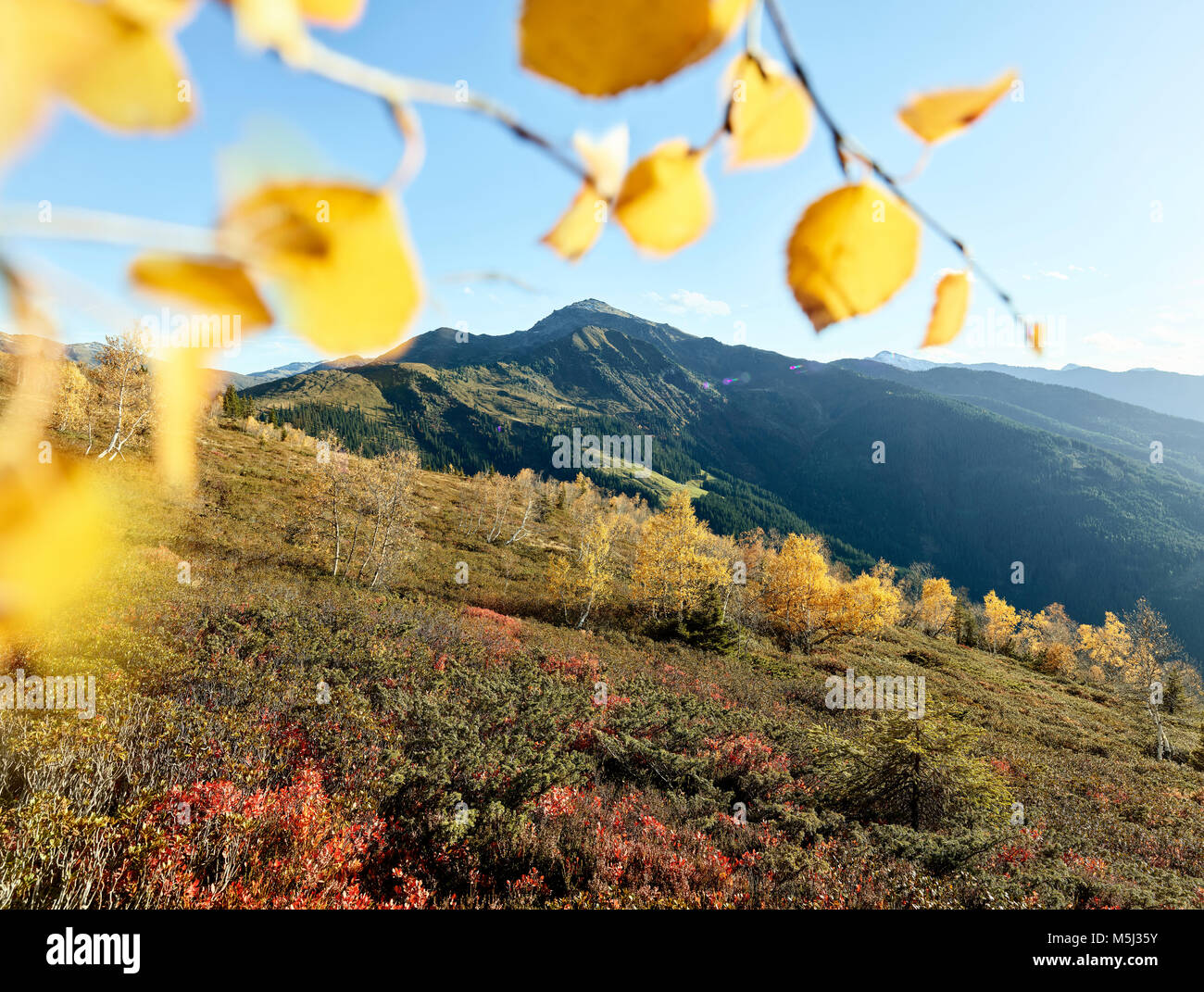 Autriche, Tyrol, Tux Alpes, Schwaz, Gilfert, paysage en automne Banque D'Images