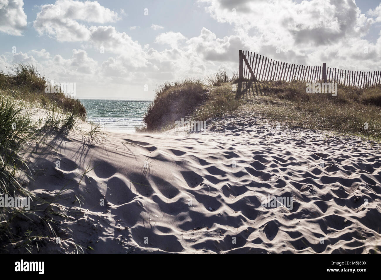 France, Normandie, Portbail Cotentin, plage, dune et la mer Banque D'Images