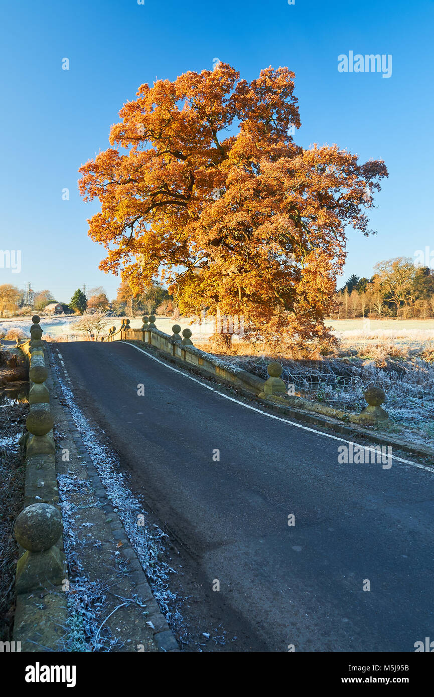 Scène d'automne en milieu rural sud-Warwickshire avec paysage couvert de givre, country lane et arbre en automne couleur contre un ciel bleu. Banque D'Images