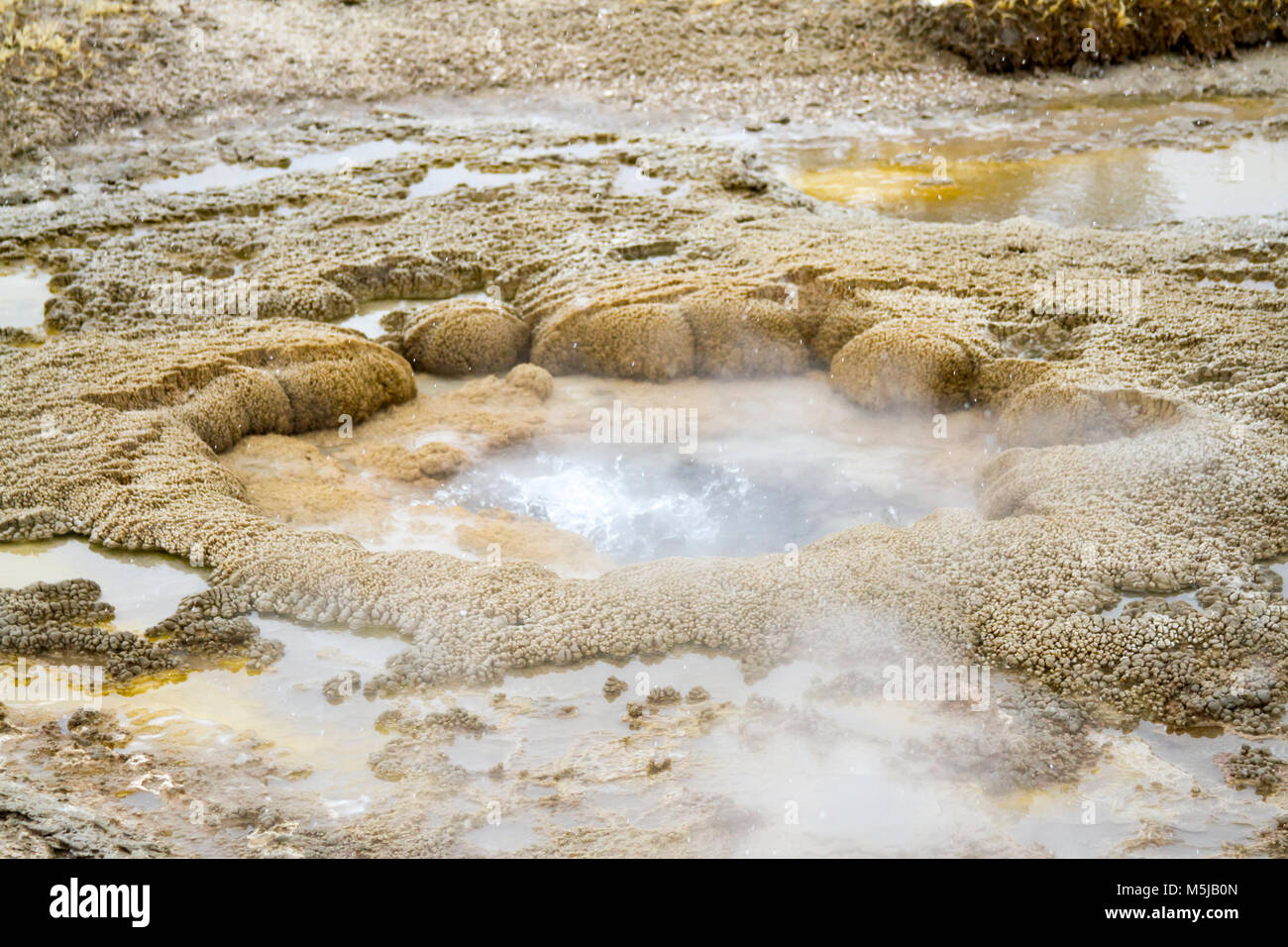 Dans l'eau bouillante et fumante à évent geyser Fontaine les pots de peinture dans le Parc National de Yellowstone, Wyoming en hiver. Banque D'Images