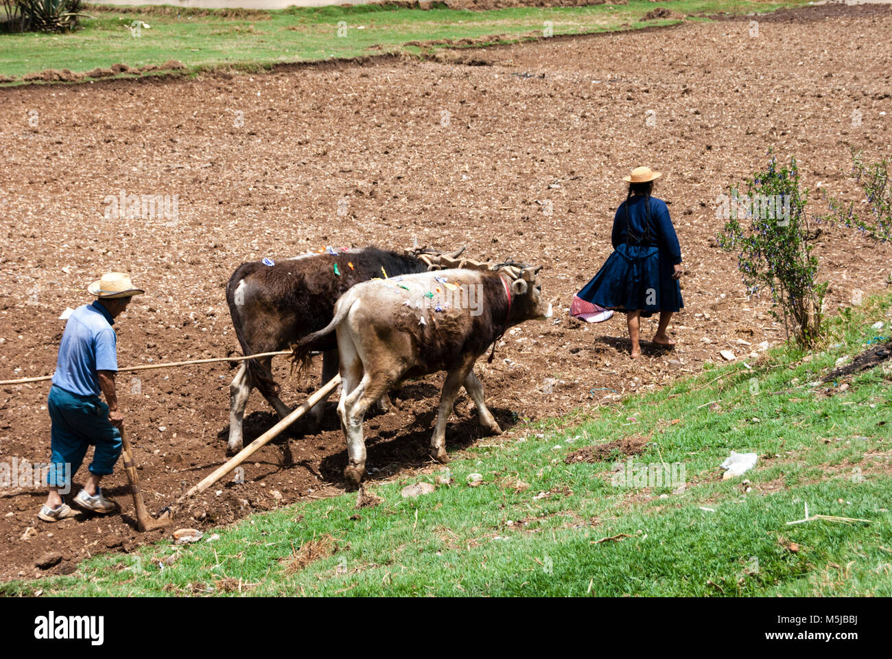 Comunidad campesina de Ñahuimpuquio Banque D'Images