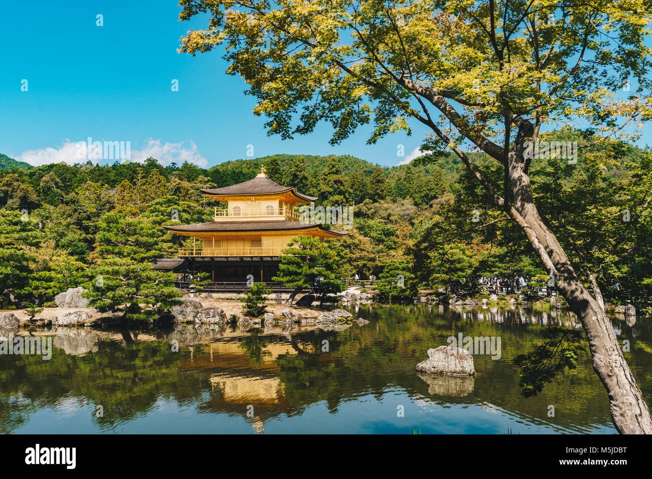 Temple Kinkakuji (Pavillon d'Or) à Kyoto, Japon Banque D'Images