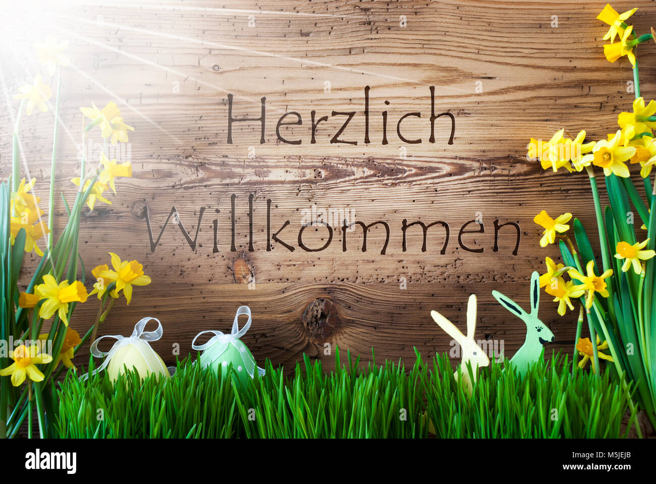 Fond de bois avec texte allemand Herzlich Willkommen signifie bienvenue. Décoration de Pâques comme Œufs de Pâques et lapin de Pâques. Fleurs de Printemps Jaune soleil Banque D'Images
