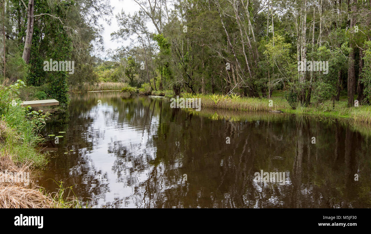 Warrell Creek qui joint la rivière Nambucca Heads sur la côte nord de la Nouvelle-Galles du Sud, Australie Banque D'Images