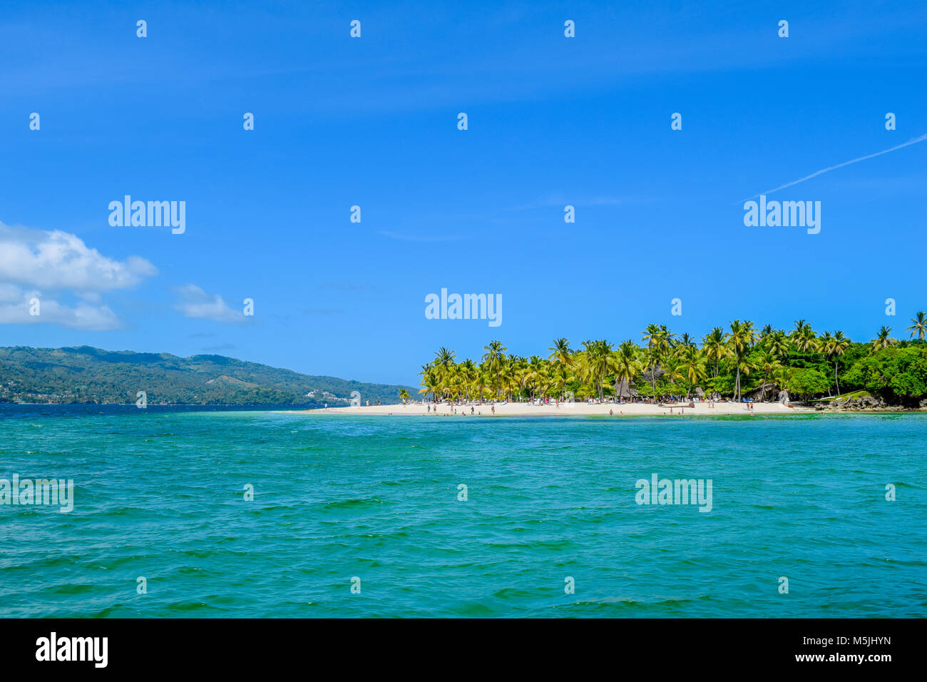 Belle île des caraïbes avec plage de sable blanc, ciel bleu, chaises longues et beaucoup de palmiers, maison de sentiments, République dominicaine, tourisme Banque D'Images