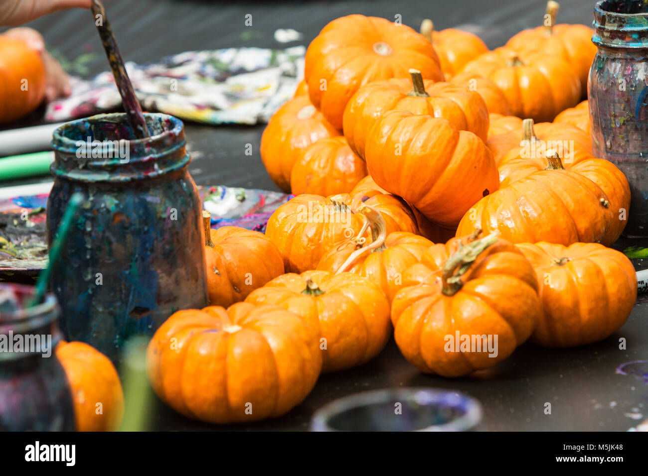 Les citrouilles miniatures s'asseoir sur le tableau d'art et d'artisanat en attente d'être peint au festival d'automne. Banque D'Images