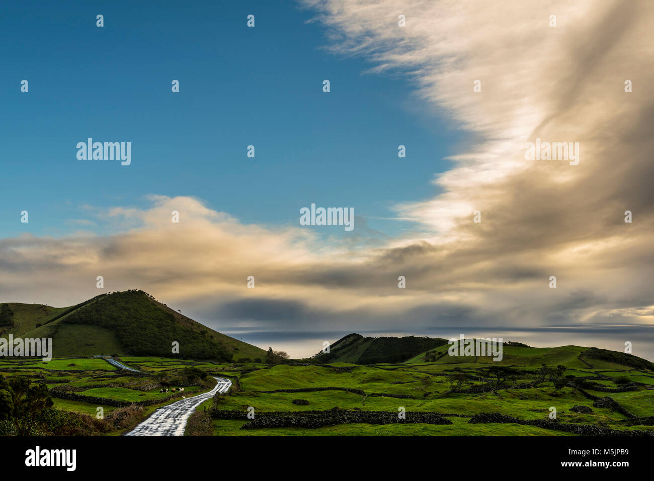 Route à travers la campagne verdoyante et vallonnée,nuageux,île de Pico, Açores, Portugal Banque D'Images