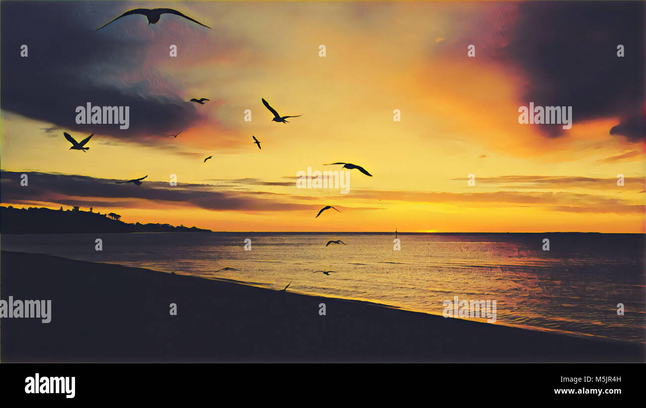 Dessin D Oiseaux Volant Sur L Ocean Plage Au Coucher Du Soleil Photo Stock Alamy
