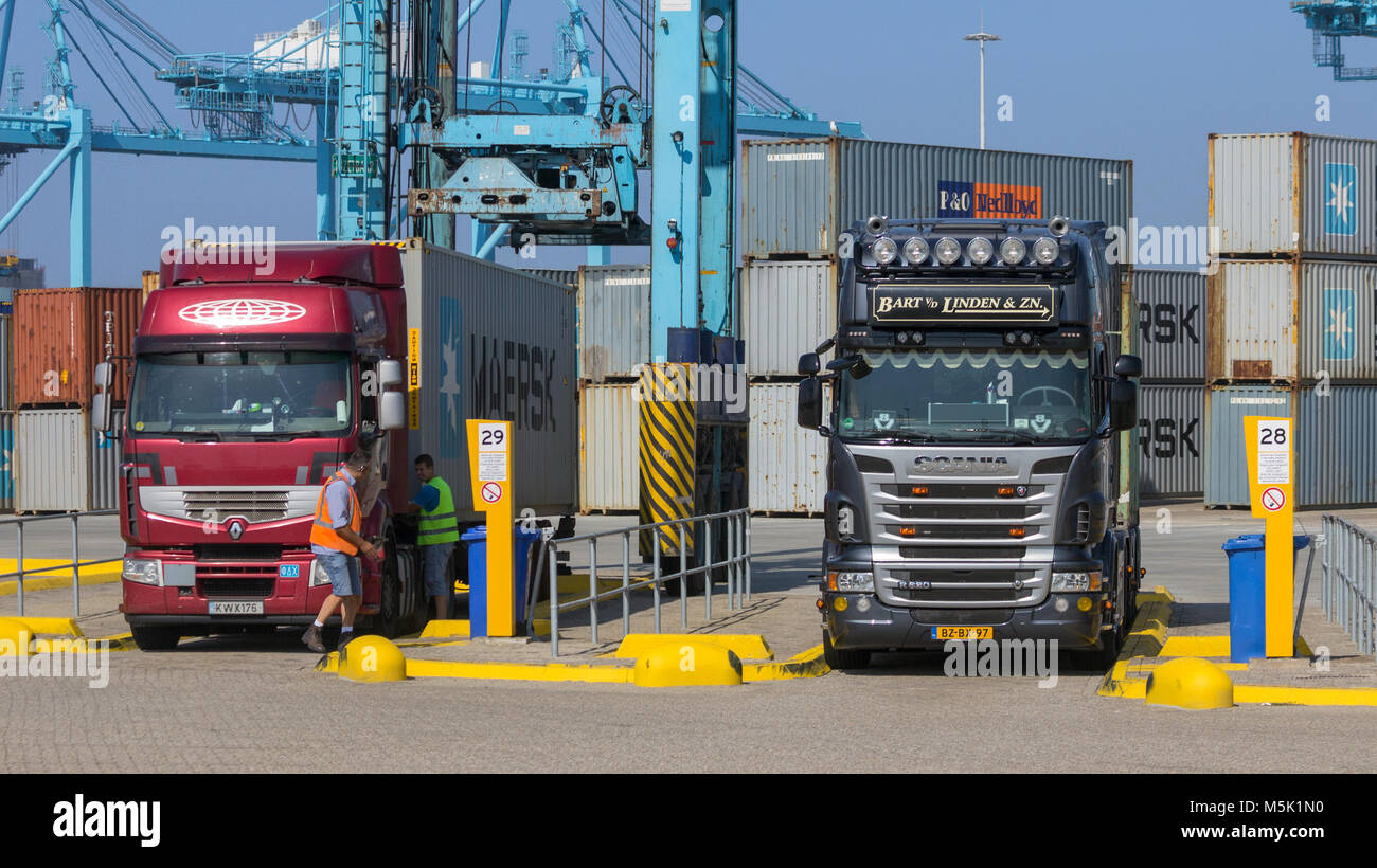 ROTTERDAM, Pays-Bas - SEP 8, 2012 : camions chargés de conteneurs sur le point de quitter un terminal d'expédition dans le port de Rotterdam. Banque D'Images
