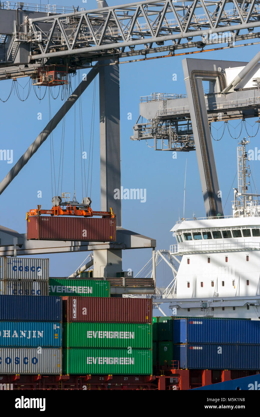 ROTTERDAM, Pays-Bas - SEP 8, 2012 : d'être chargés par des portiques à un terminal dans le port de Rotterdam. Banque D'Images ROTTERDAM, Pays-Bas - SEP 8, 2012 : d'être chargés par des portiques à un terminal dans le port de Rotterdam. Banque D'Images